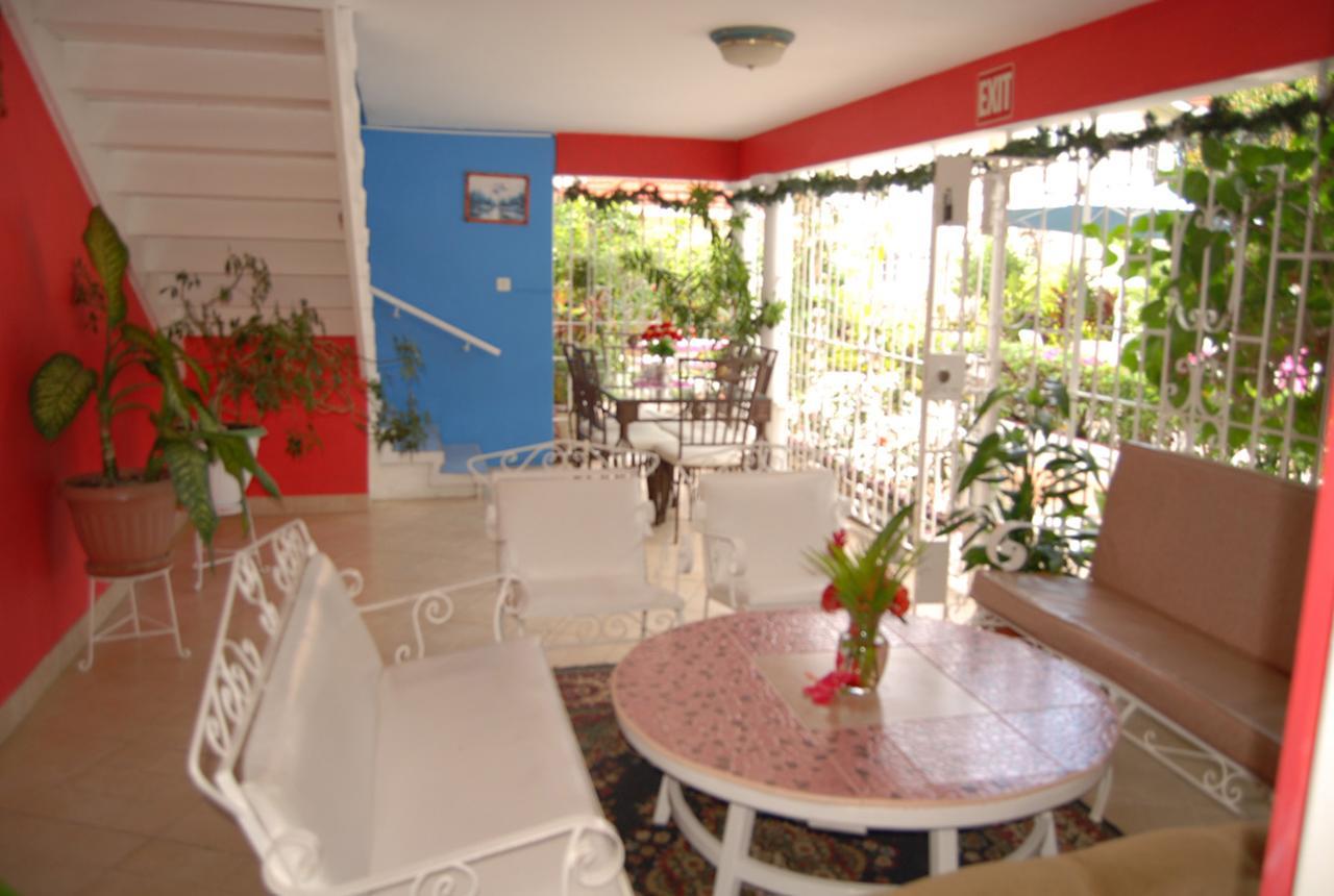 Pink Hibiscus Bed And Breakfast Montego Bay Zewnętrze zdjęcie