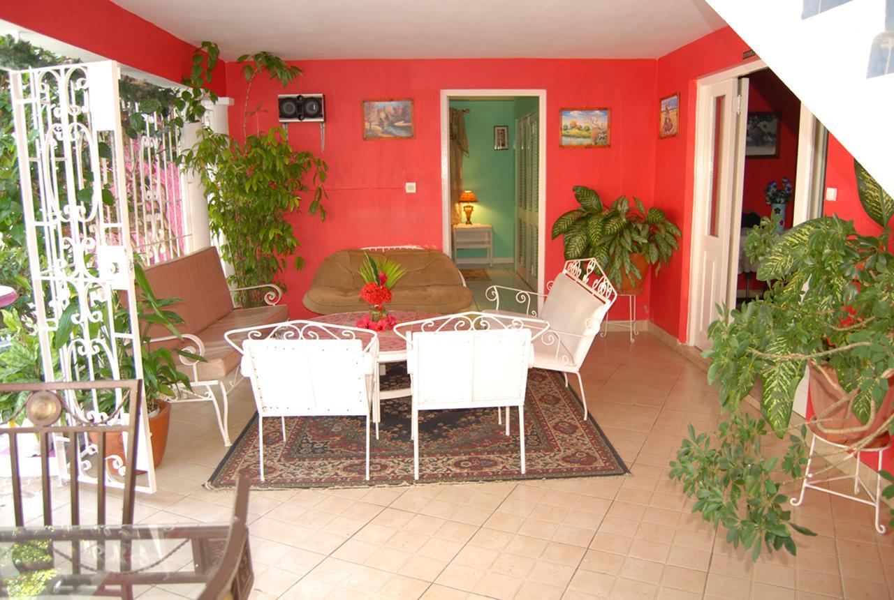 Pink Hibiscus Bed And Breakfast Montego Bay Zewnętrze zdjęcie